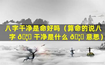 八字干净是命好吗（算命的说八字 🦄 干净是什么 🦄 意思）